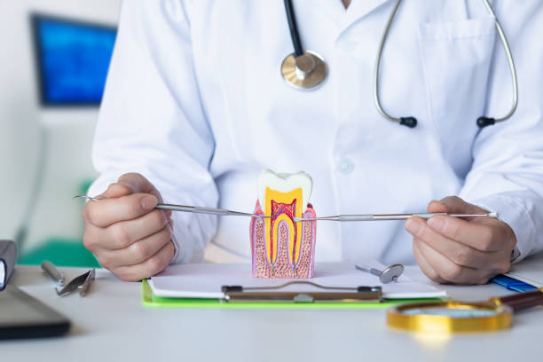 Best Pediatric Emergency Dentist in Halls, TN